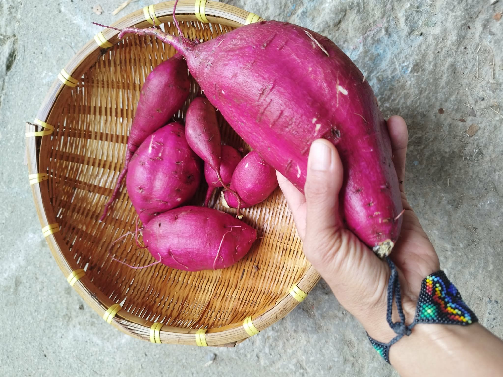Madre Tierra 20