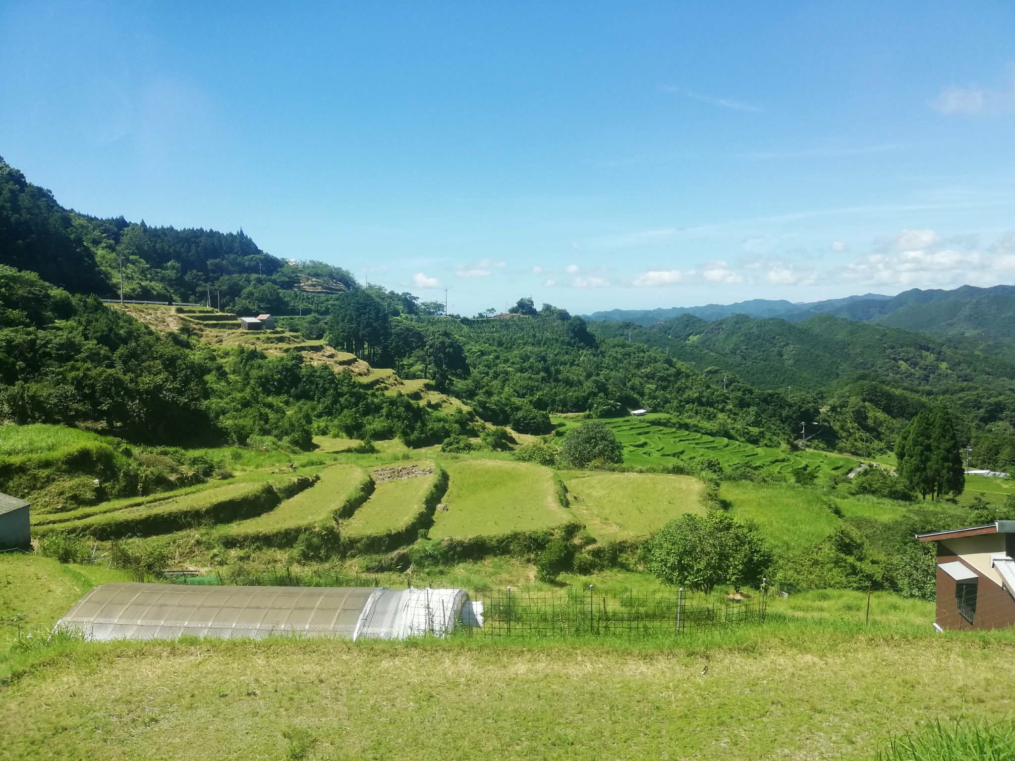 Arrozales en terrazas de Kosaka
